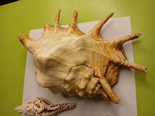 Дополнительное изображение