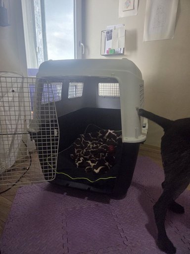 Дополнительное изображение