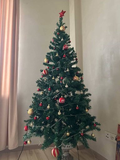 Новая елка в коробке