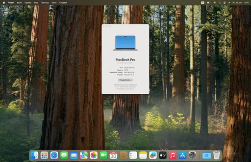 Дополнительное изображение