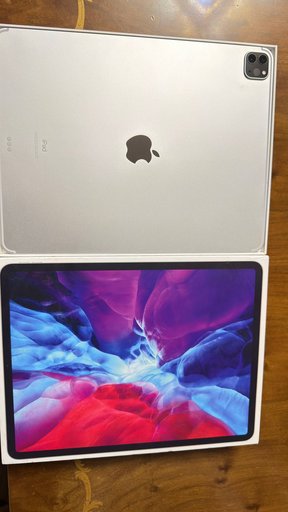 iPad Pro 12.9 (4th gen)