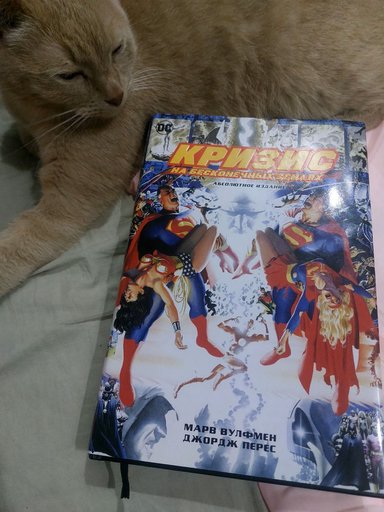 Настольная лампа светильник