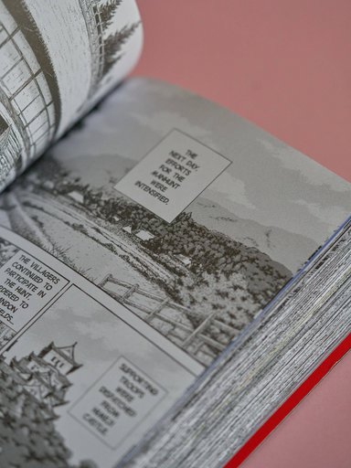 Дополнительное изображение