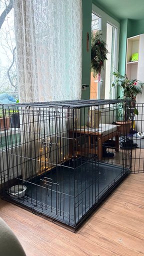 Клетка для собак