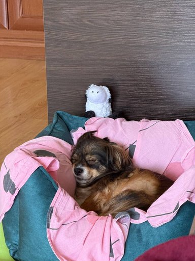 Дополнительное изображение