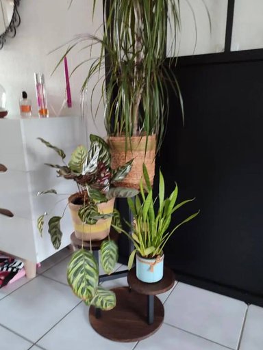 Подставка для растений