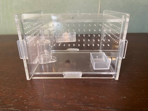 Фармикарий для паука прыгуна