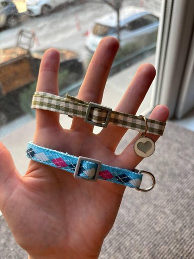 Дополнительное изображение