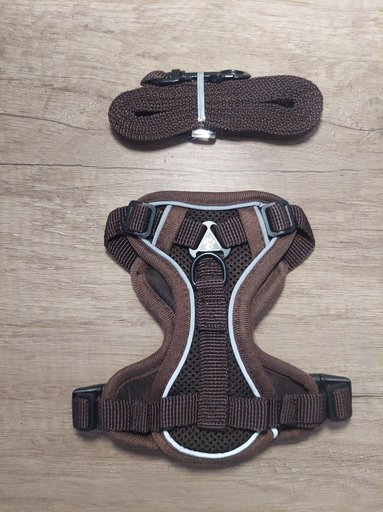 Дополнительное изображение