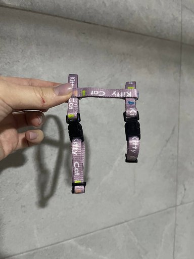 Шлейка для котенка