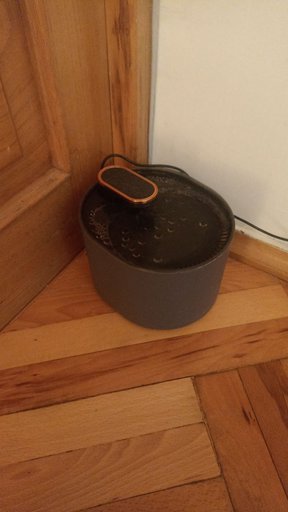 Автоматическая поилка для кошек