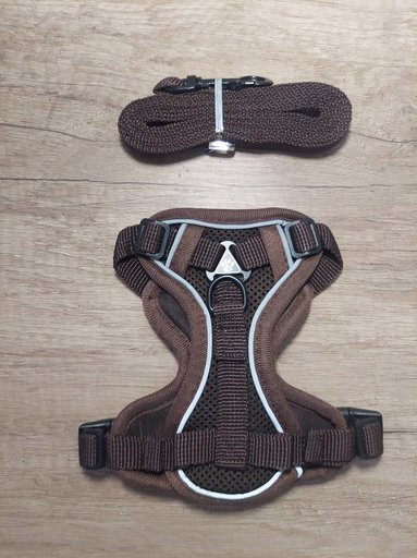 Дополнительное изображение