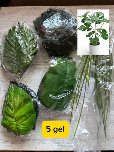 Дополнительное изображение