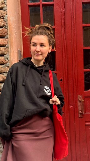 Дополнительное изображение