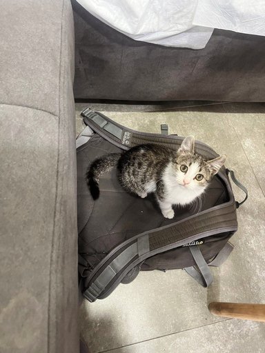 Дополнительное изображение