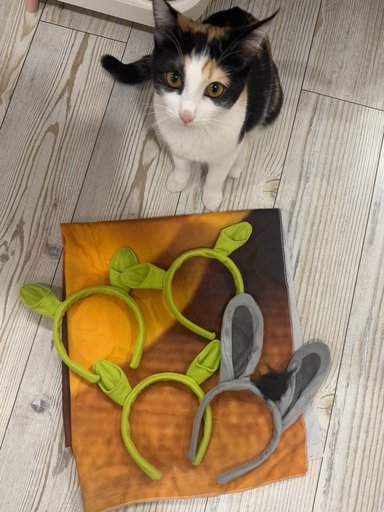 Дополнительное изображение