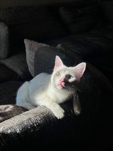 Дополнительное изображение