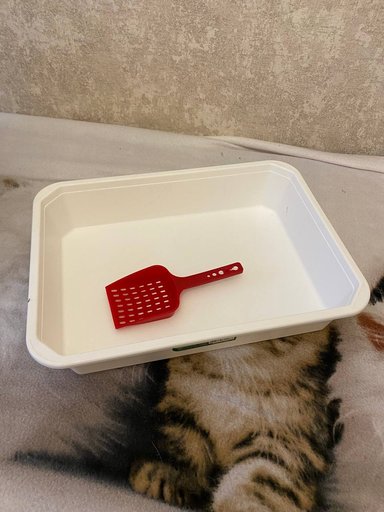 Дополнительное изображение