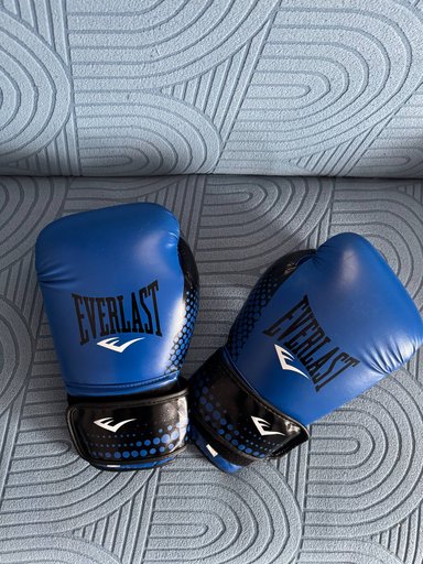 Боксерские перчатки Everlast (14 oz, синие)