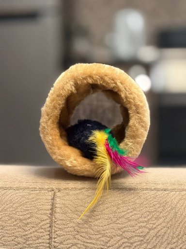 Дополнительное изображение