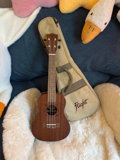 Укулеле с чехлом