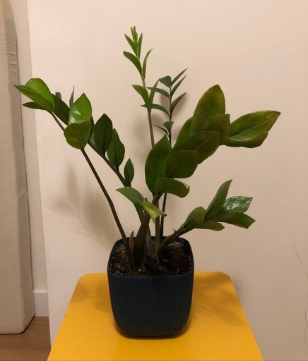 Дополнительное изображение