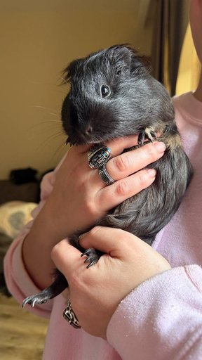 Дополнительное изображение