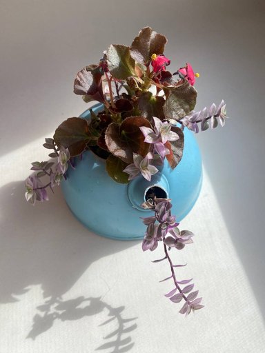 Живая цветочная композиция в винтажном чайнике