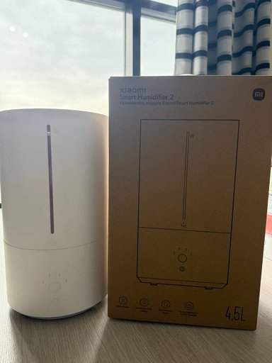 Настольные игры