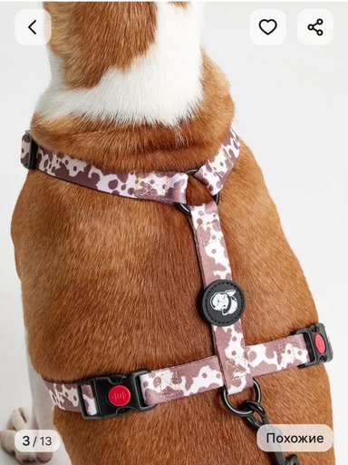 Дополнительное изображение