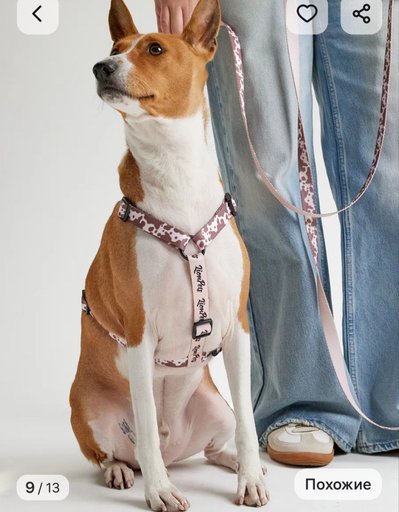 Дополнительное изображение