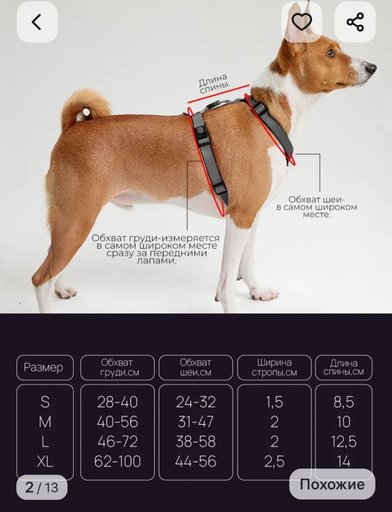 Дополнительное изображение