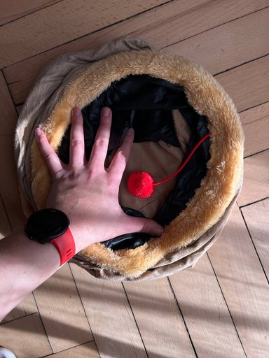 Дополнительное изображение