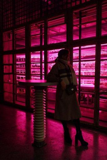 Дополнительное изображение