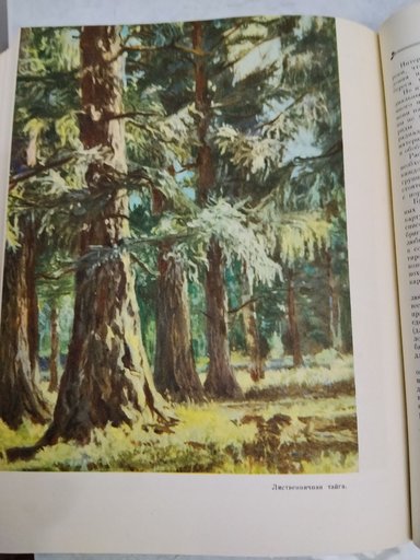 Дополнительное изображение