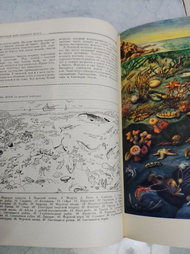 Дополнительное изображение