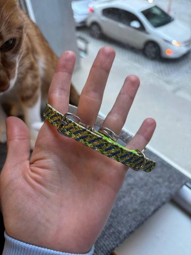 Дополнительное изображение