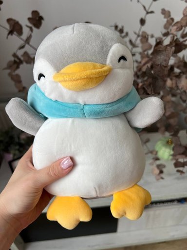 Дополнительное изображение