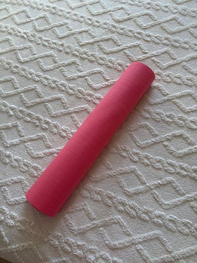 Растение долларовое дерево Замиокулькас