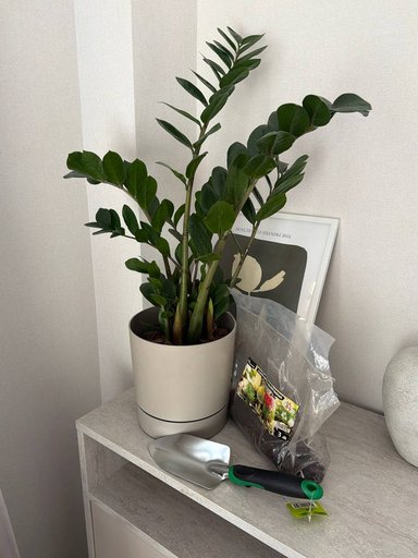 Дополнительное изображение