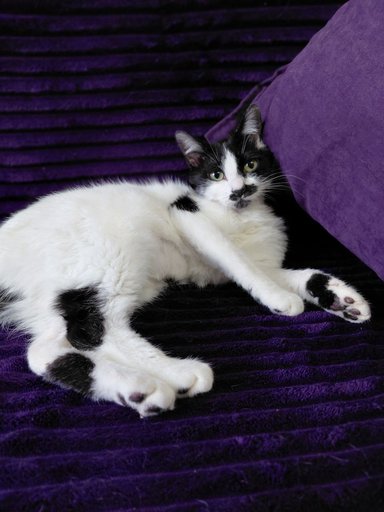 Дополнительное изображение