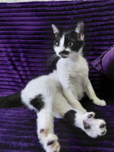 Дополнительное изображение