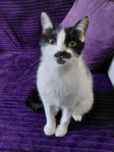 Дополнительное изображение