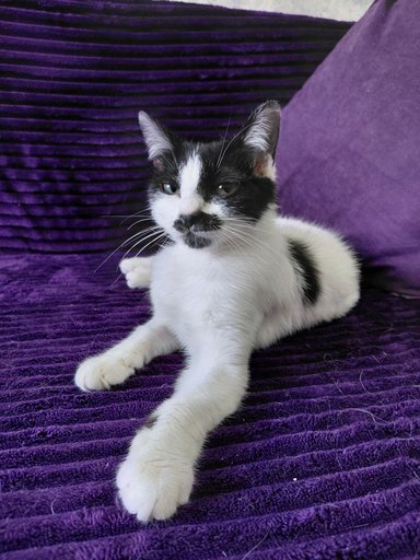 Дополнительное изображение