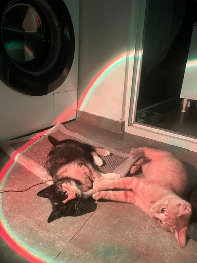 Дополнительное изображение