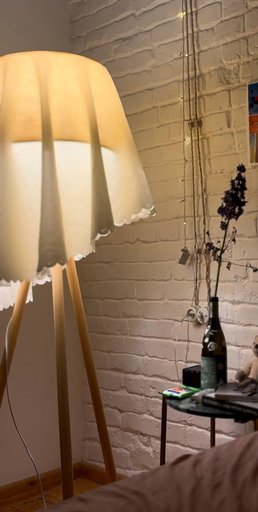 Дополнительное изображение