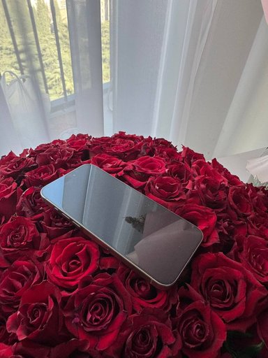 Дополнительное изображение