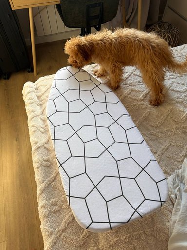 Дополнительное изображение