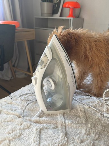 Дополнительное изображение