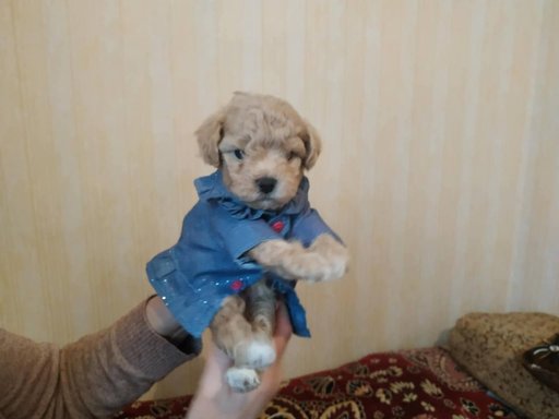 Дополнительное изображение